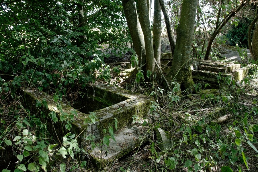 Cimetière aux tombes ouvertes