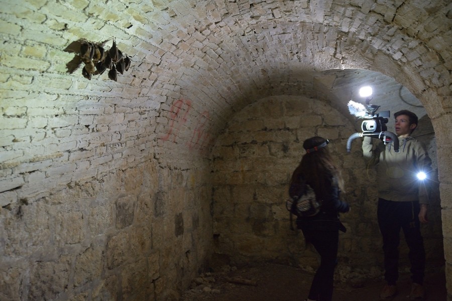 Fort de Souville 