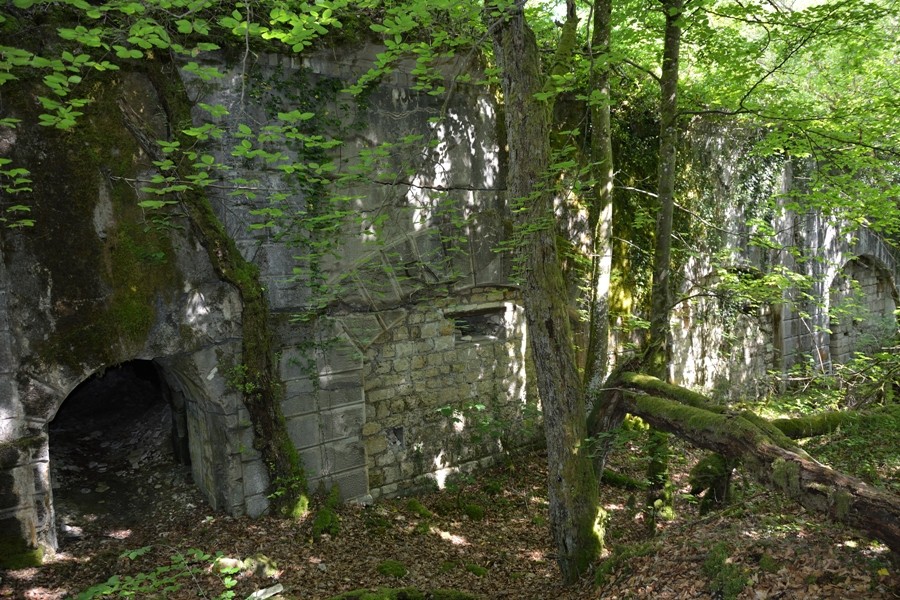 Fort de Tavannes