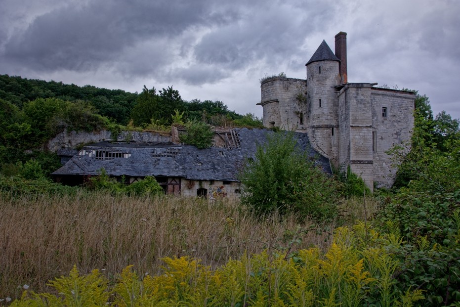 Château royal Jean de La Falaise