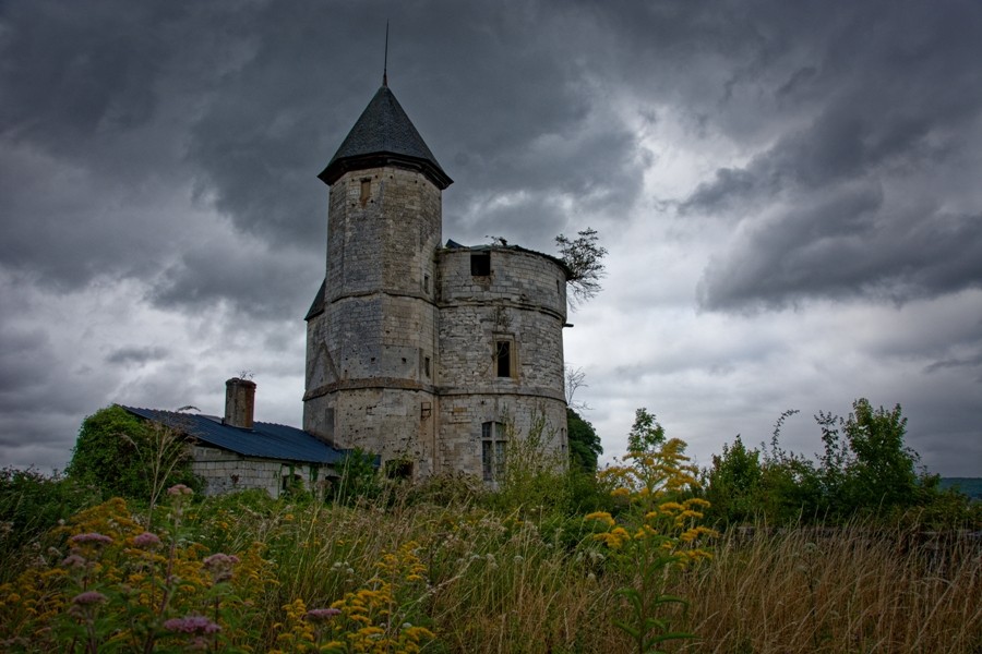 Château royal Jean de La Falaise