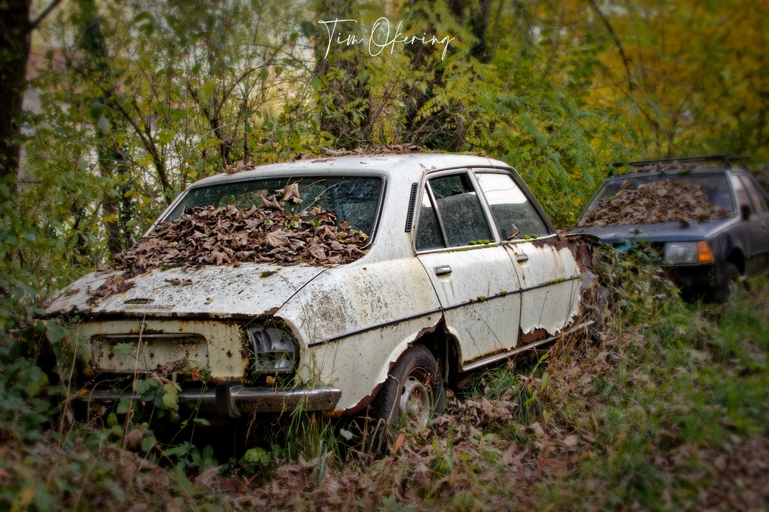 Peugeot 504